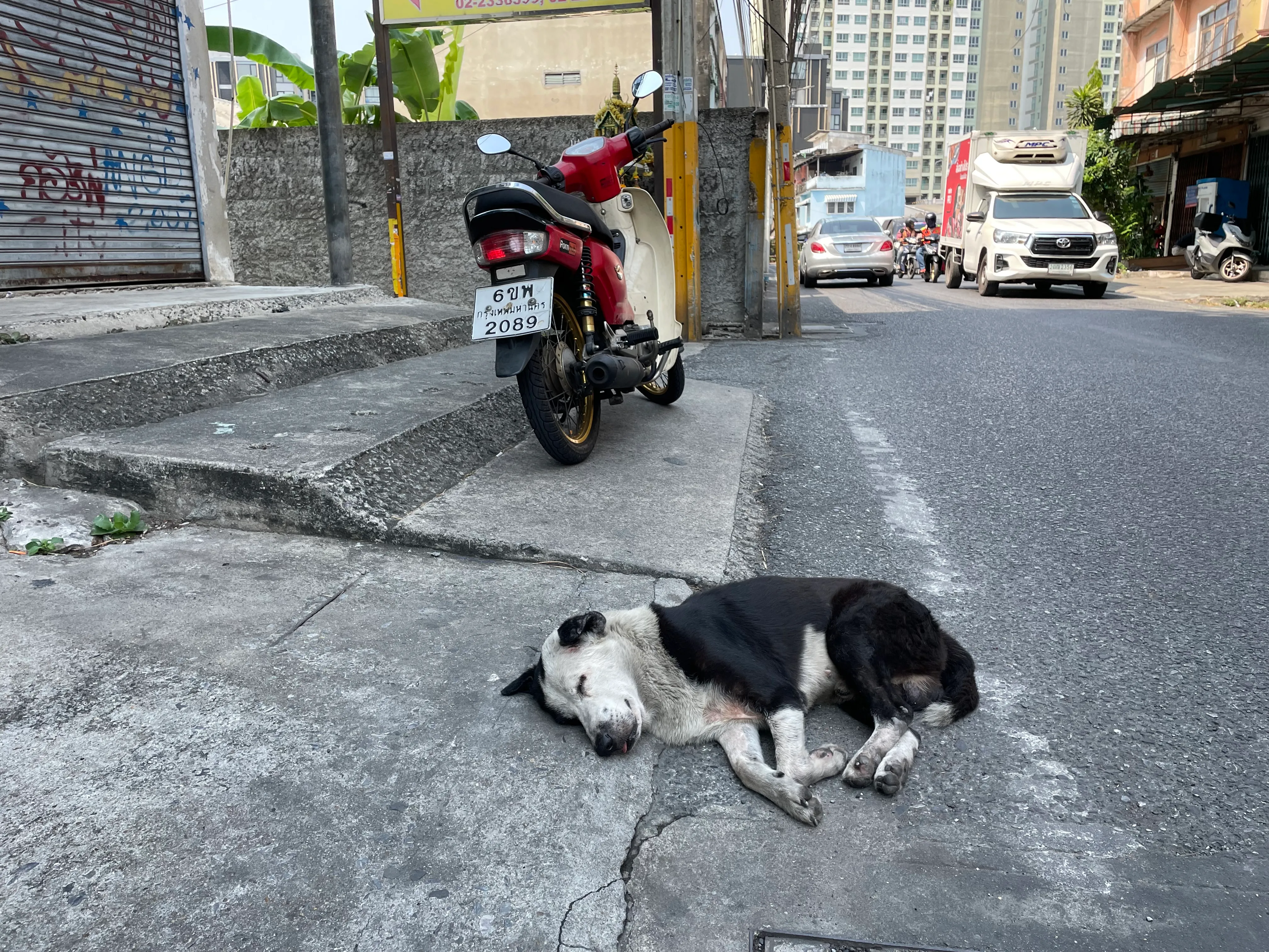 image from Bangkok #4